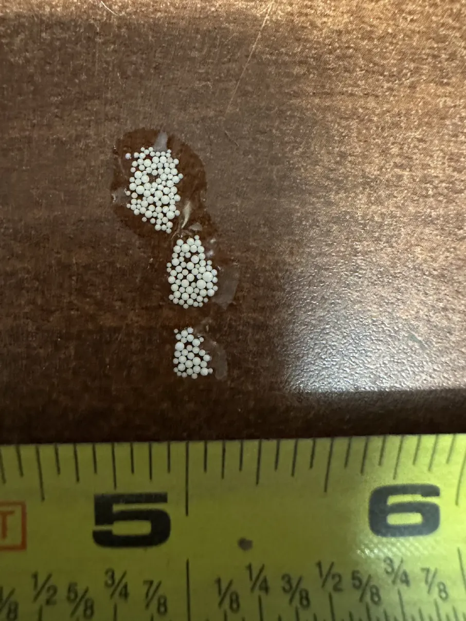 resin-beads-sizing.webp